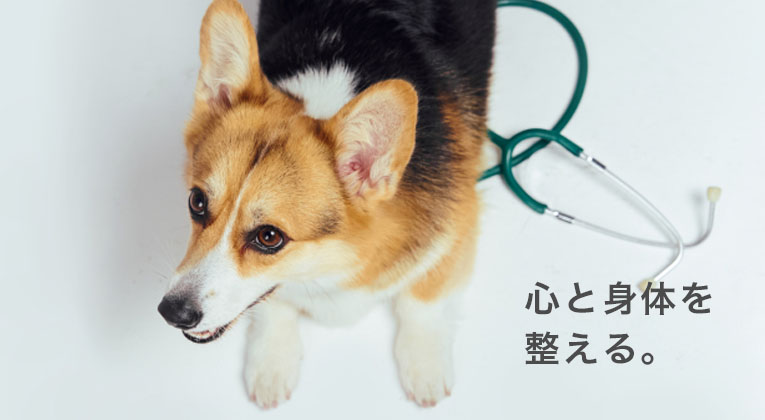 心と体を整える